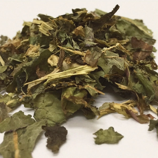 Wild Lettuce (Lactuca virosa) - Dried Herb, Organic