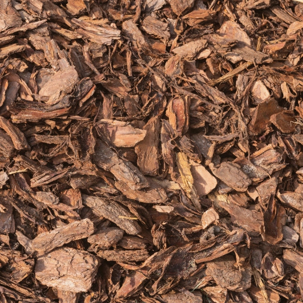 Yohimbe Bark, Cut & Sifted (Pausinystalia yohimbe) - Dried Herb, Wildcrafted