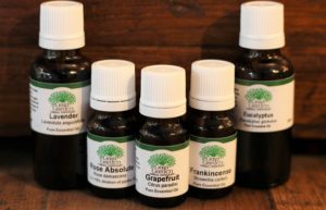 Cinnamon Leaf - Essential Oil (Cinnamonum zeylanicum)