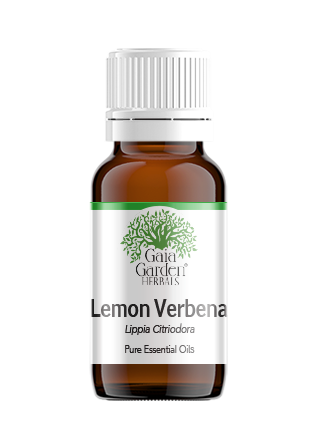 Verbena (Lemon Verbena) Essential Oil (Lippia Citriodora) 100% Pure and  Natural 10 ML