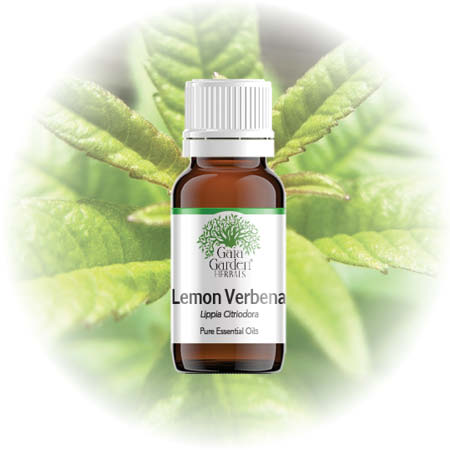 Lemon Verbena (Aloysia Citrodora) Essential Oil – HIGH ALTITUDE  COSMECEUTICALS™